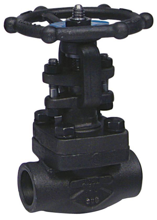 Robinet vanne à opercule - Acier forgé A105N - TRIM 8 - 800lbs - FF BSP